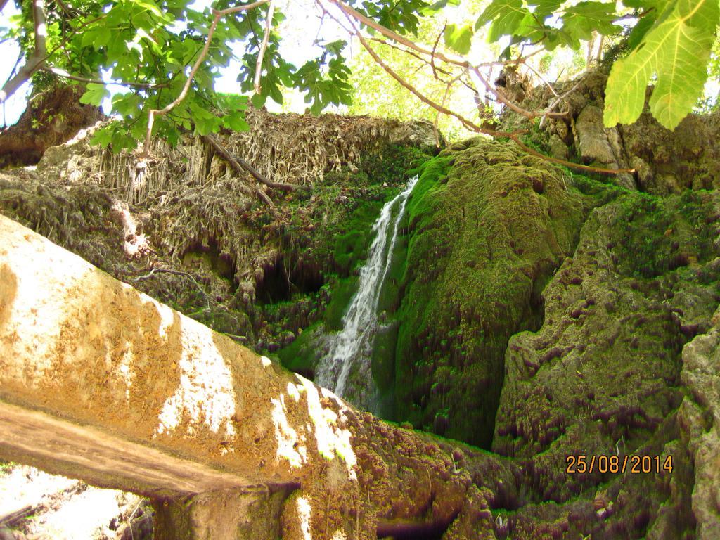 Hotel Narkissos 2*